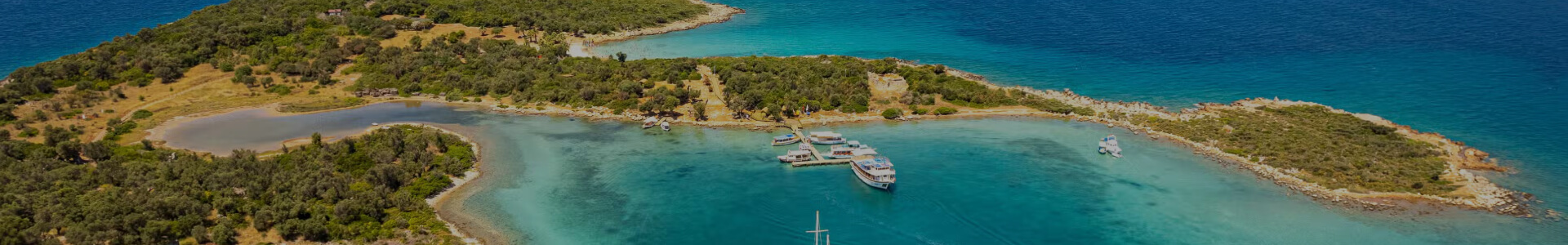 Evcil Hayvan Kabul Eden Villalar